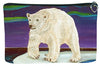 Polar Bear Three Piece Set- Elusive Wonder