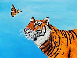 Tiger Cat Case - Wonder